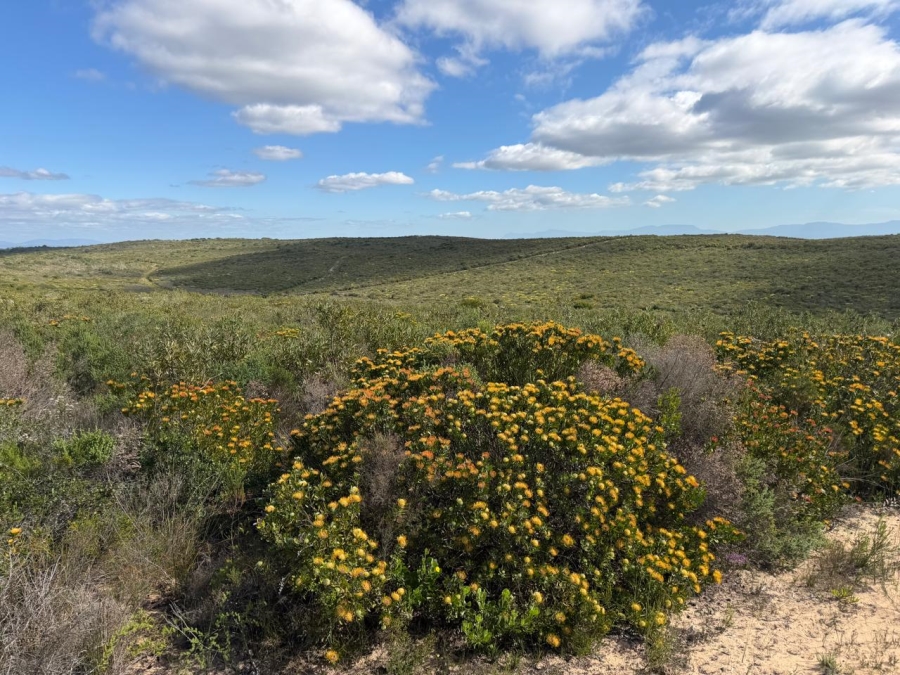 0 Bedroom Property for Sale in Riversdale Rural Western Cape